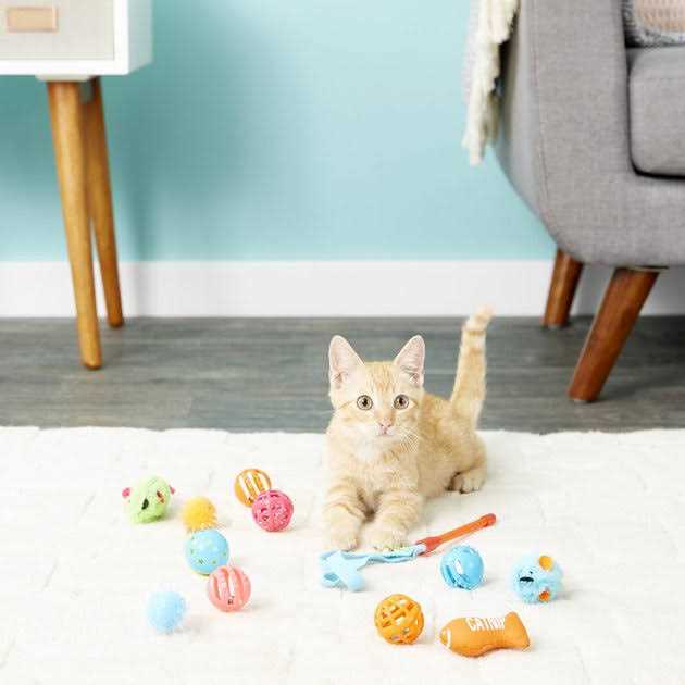 Cat Toy Variety Pack C788