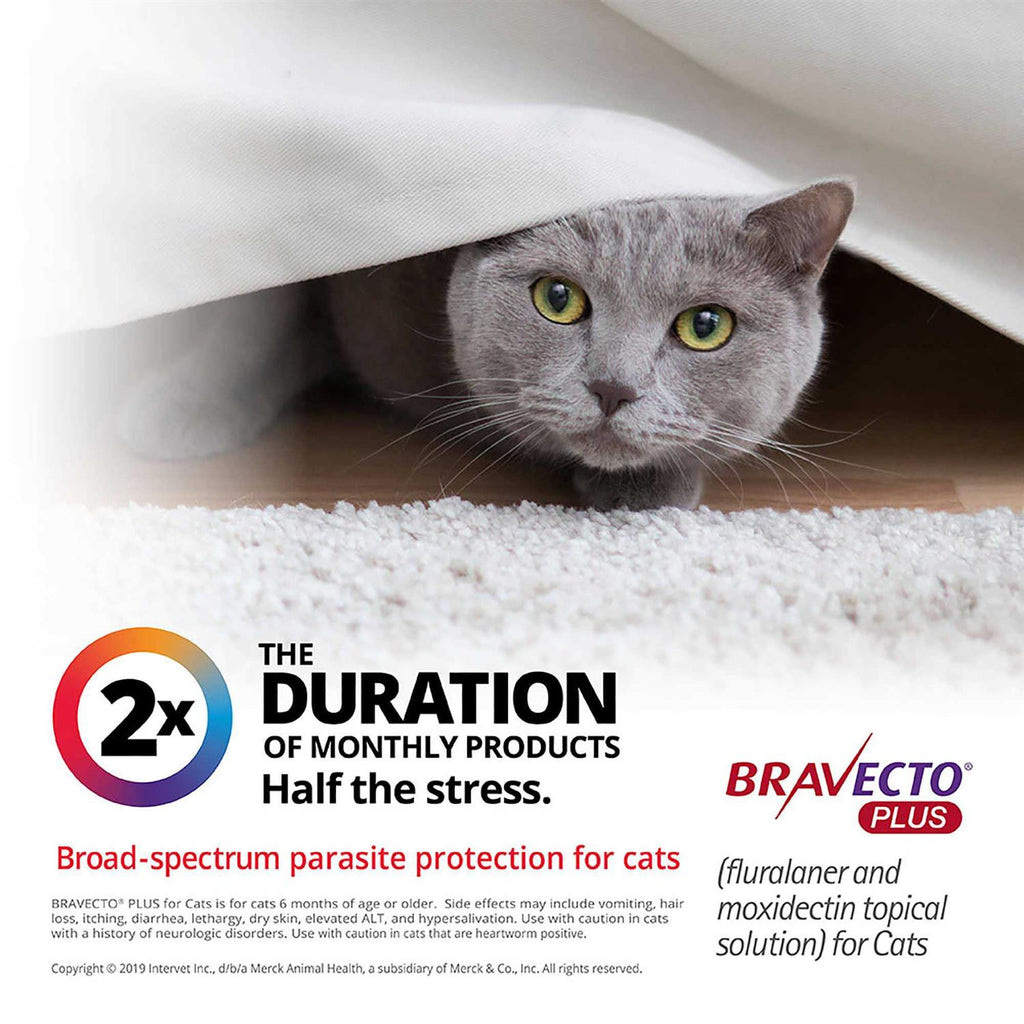 Topical Solution for Cats Q51348