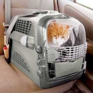 Cat Carrier T605484