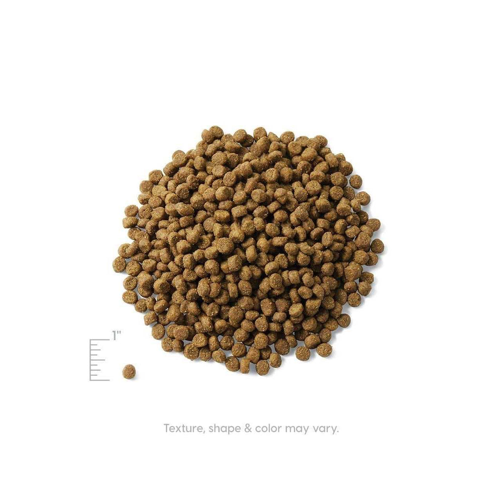 Solid Gold Indoor Lentil & Apple Recipe Grain-Free Dry Cat Food A687404