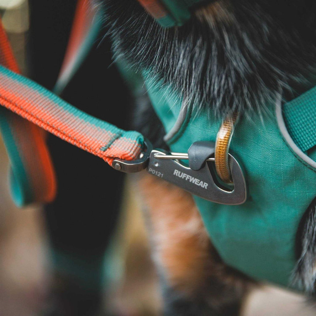 Leash C4252
