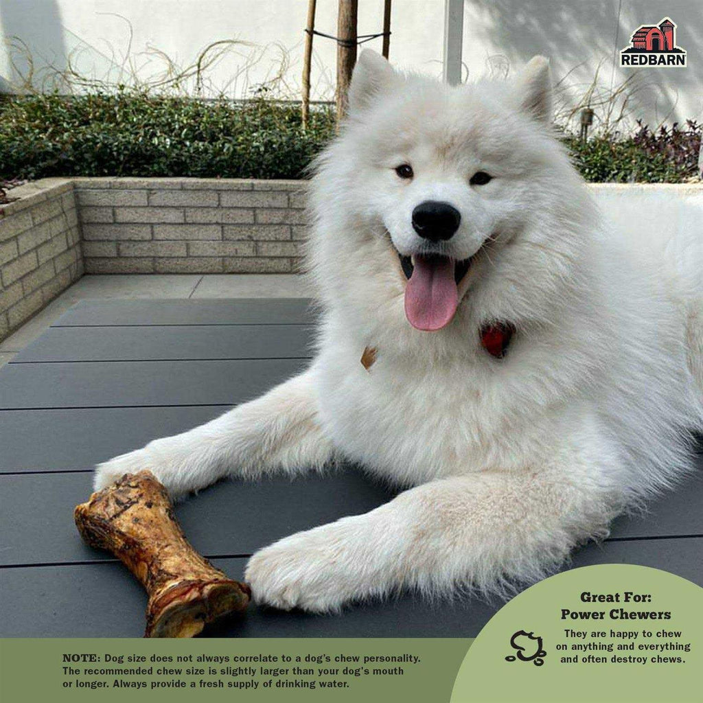 Large Meaty Dog Bone I204709