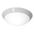 White Flush Mount Light G574