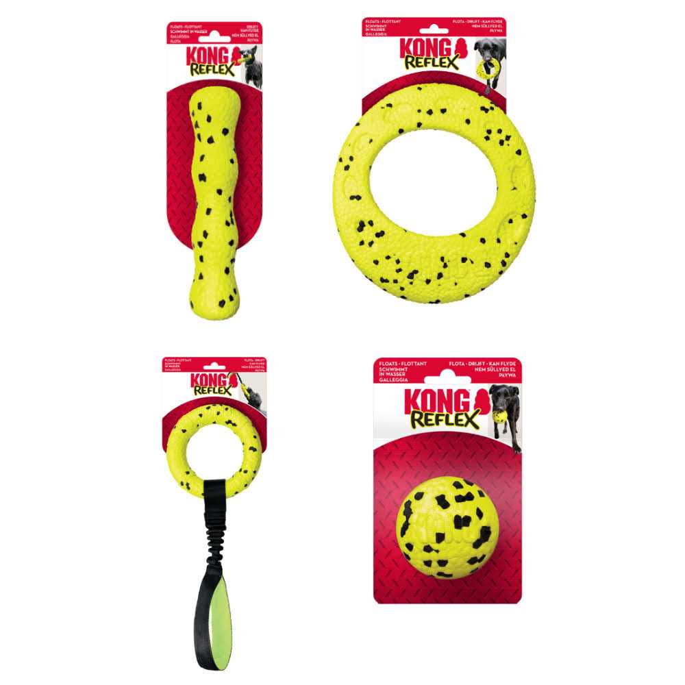Dog Toy H62620