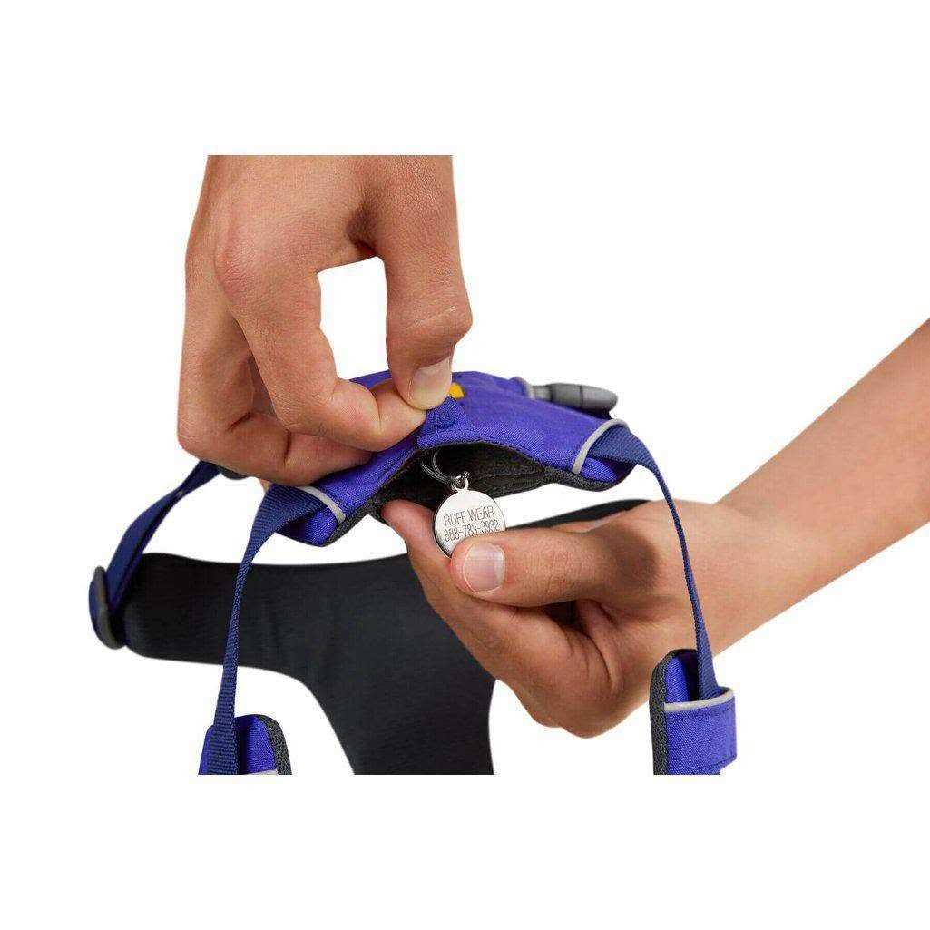 Harness F346