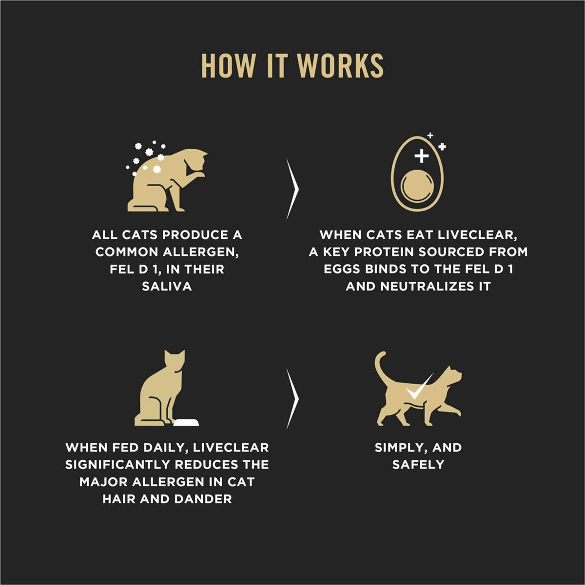 Chicken & Rice Dry Cat Food for Kittens B5329