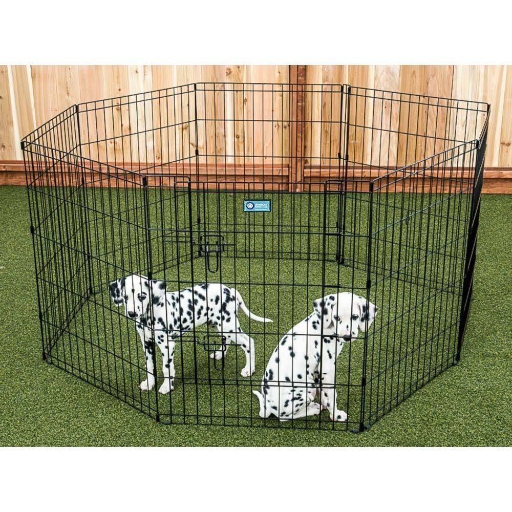 Pet Exercise Pen with Dual Latch Door Y769163