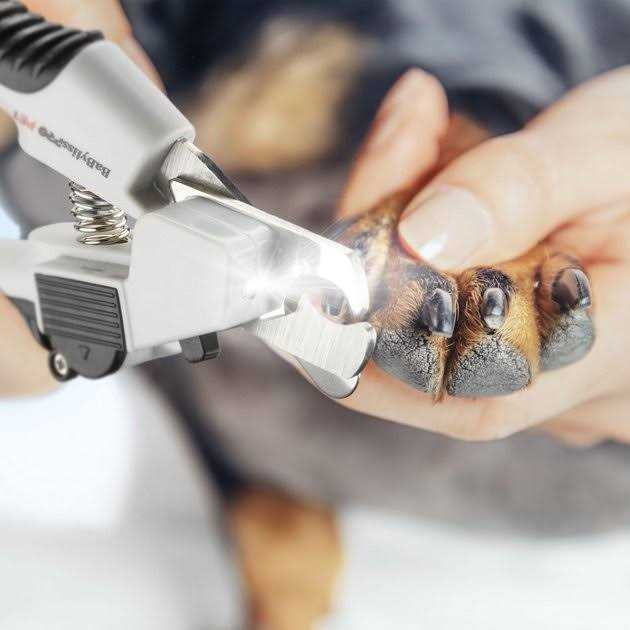 LED Nail Clipper T965226