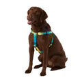 Dog Harness D820879