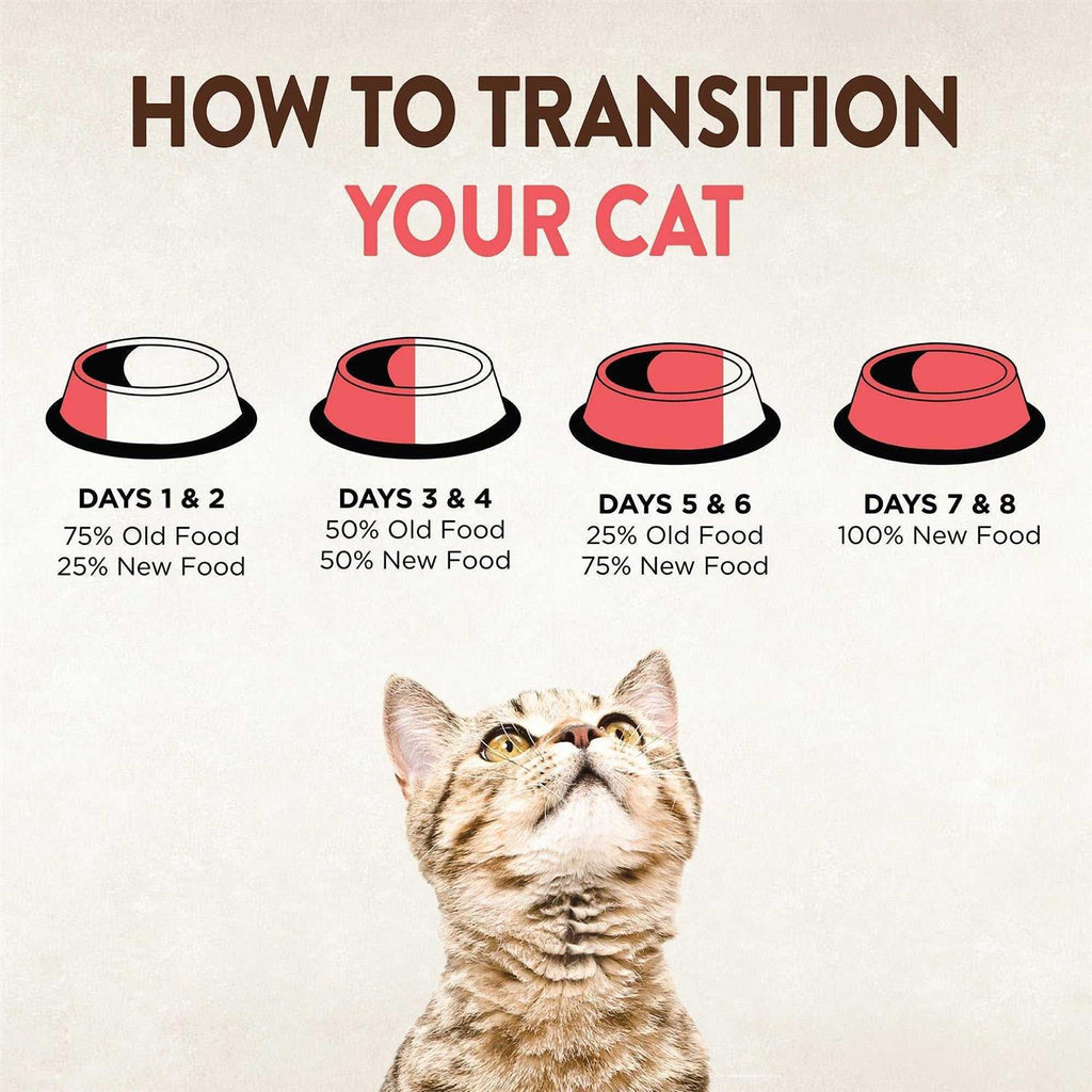 Canned Cat Food Variety Pack A1010