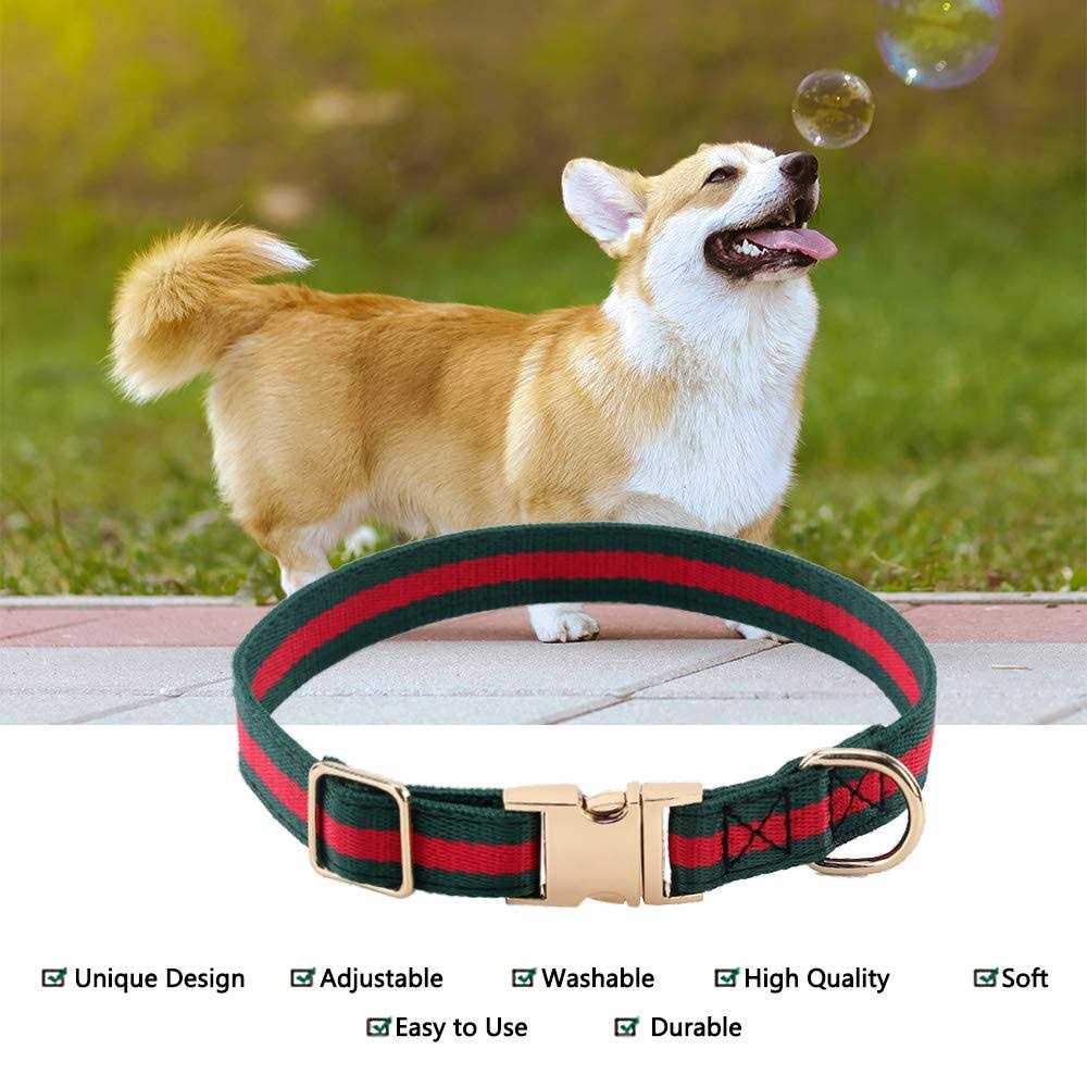 Adjustable Dog Collar with Metal Buckle B277