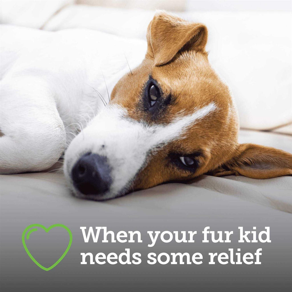 Canine Aspirin K217