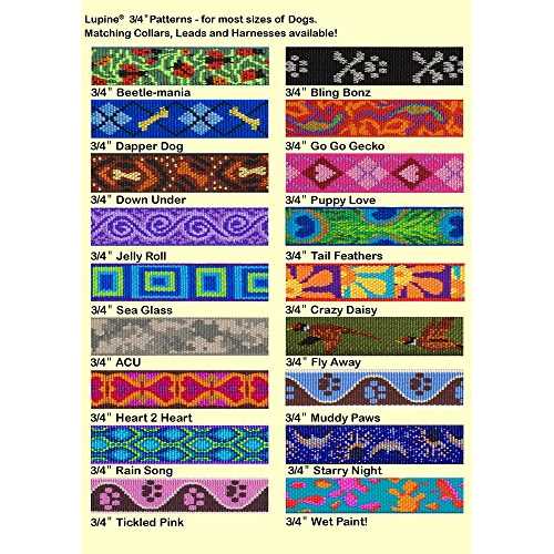 Dog Collar H2546