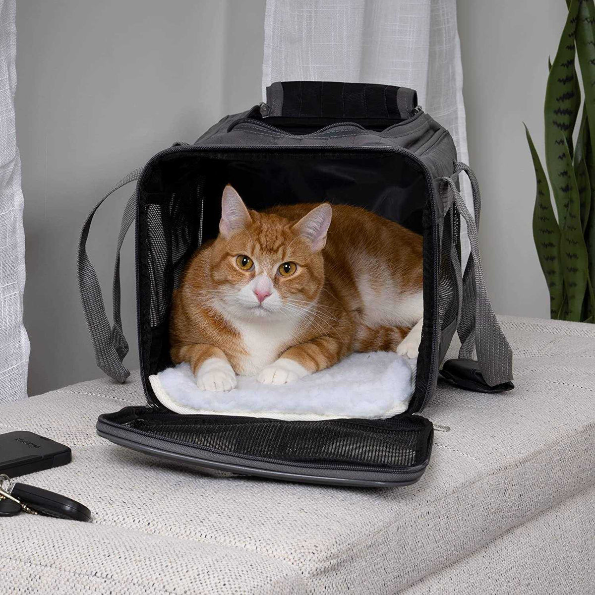 Airline Approved Pet Carrier R707