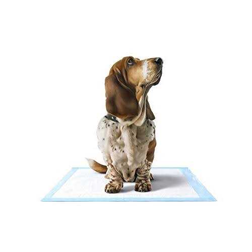 Disposable Chucks Pads 23 x 36 inches Ultra-Light Absorbency X462
