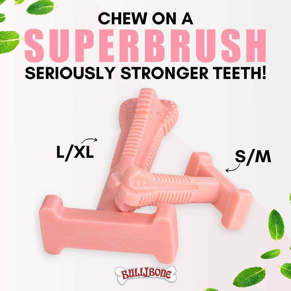 Nylon Dog Chew Toy R775900