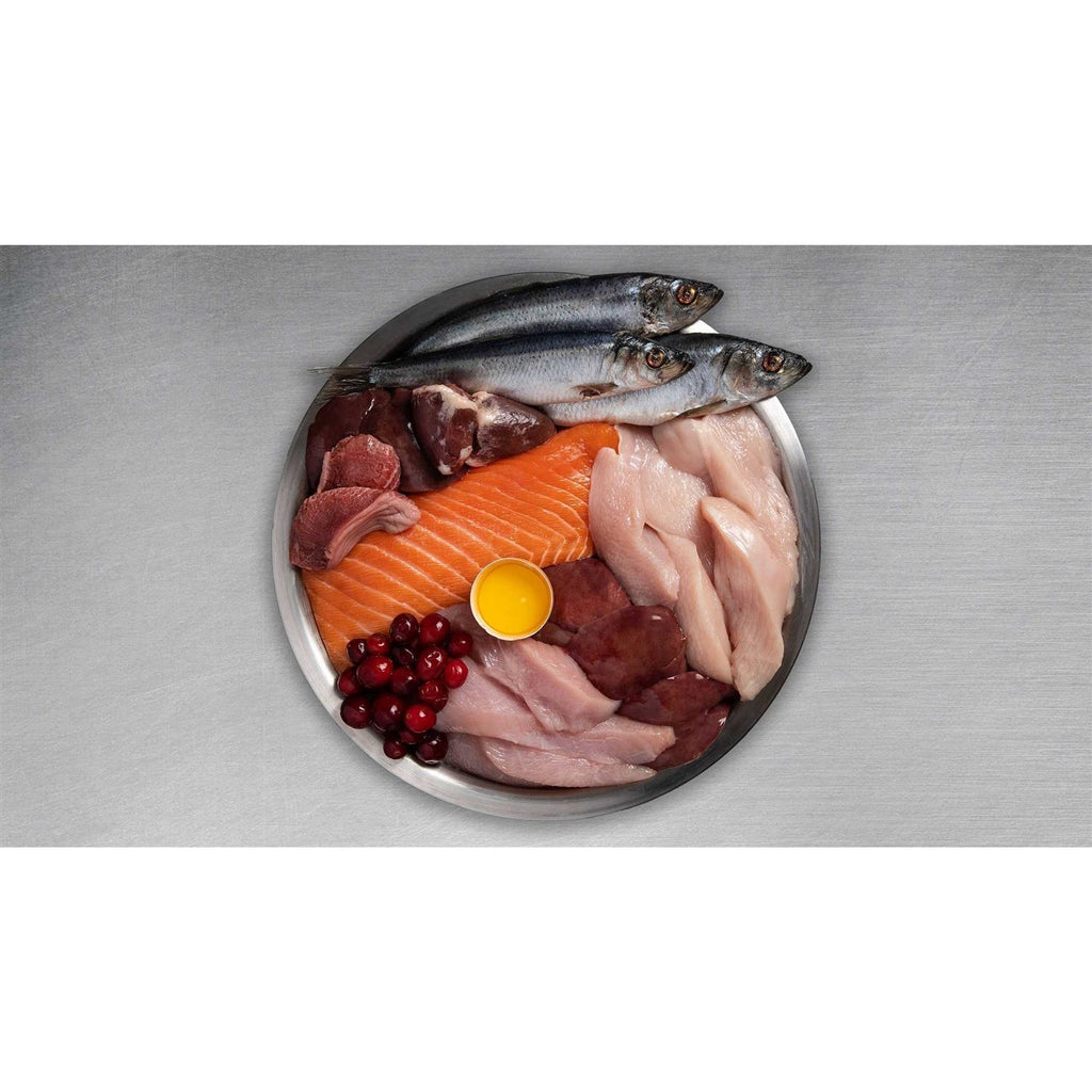 Dry Cat Food B5936