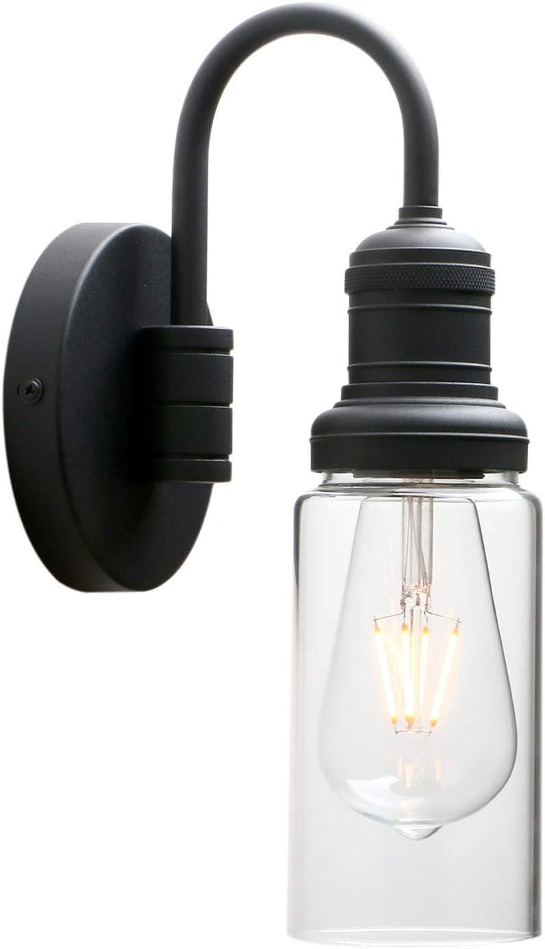 Vintage Gooseneck Wall Sconce with Clear Glass Shade Q10139