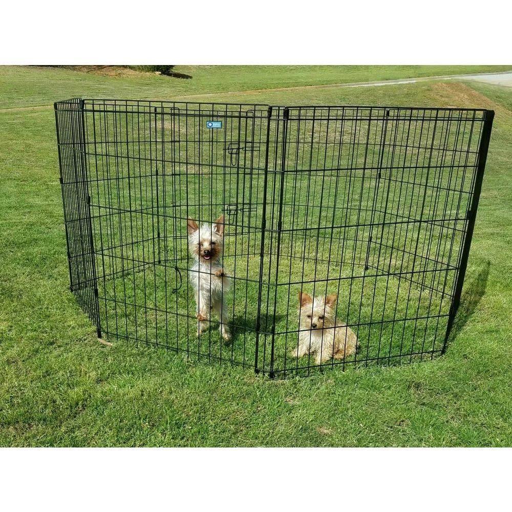 Pet Exercise Pen with Dual Latch Door Y769163