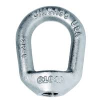 Stainless Steel Eye Nut V859