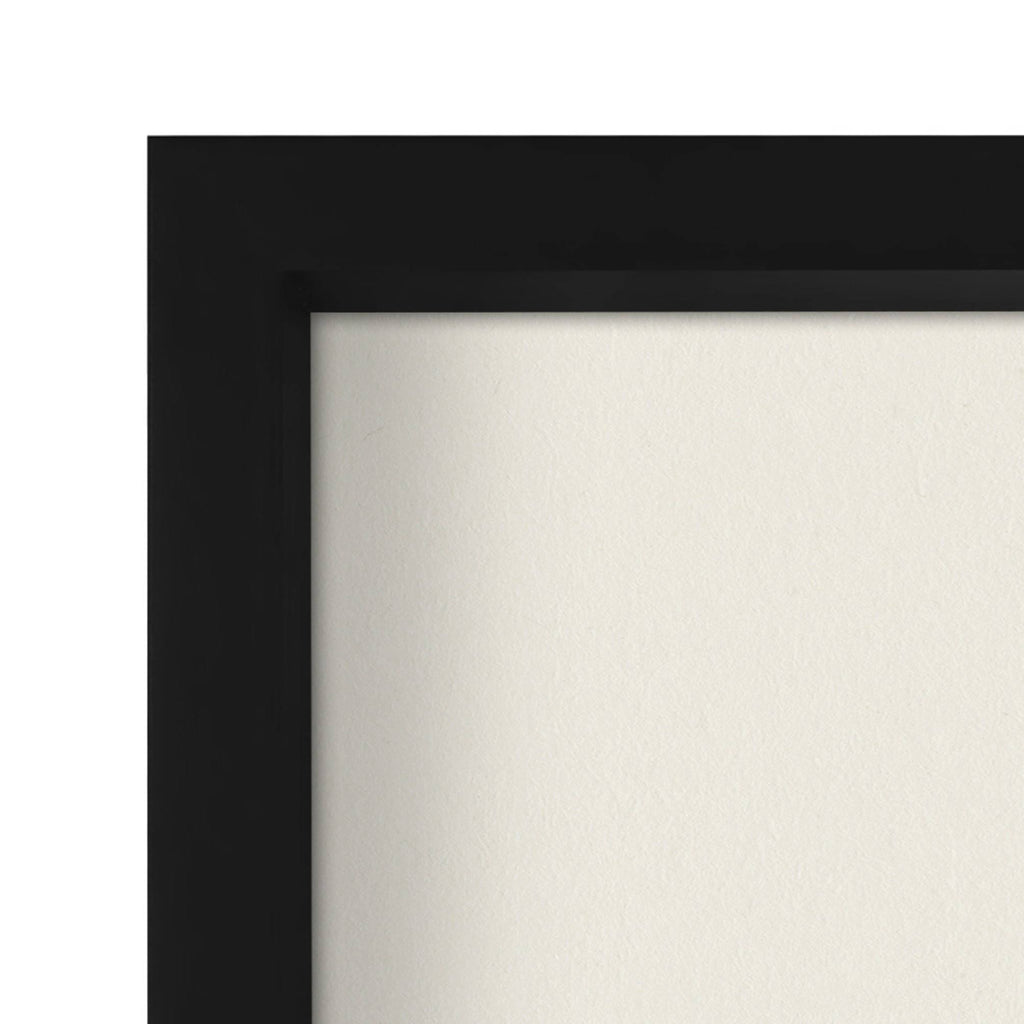 Black 8x22 Shadow Box Frame X568909