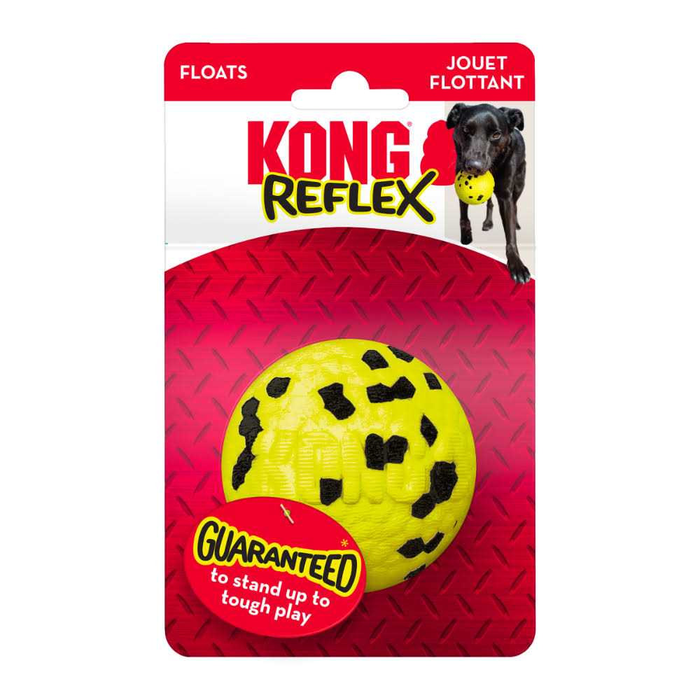 Dog Toy H62620