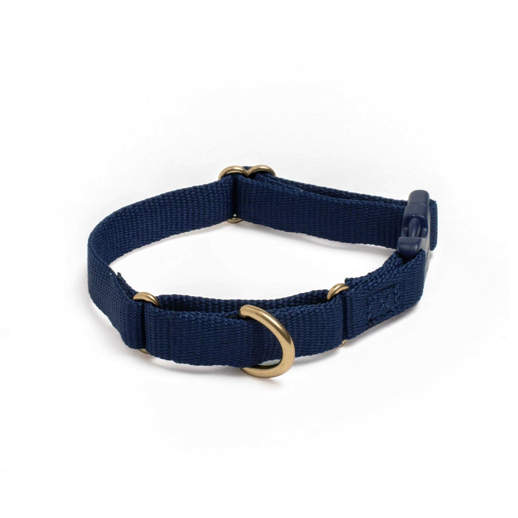 Martingale Dog Collar V59934