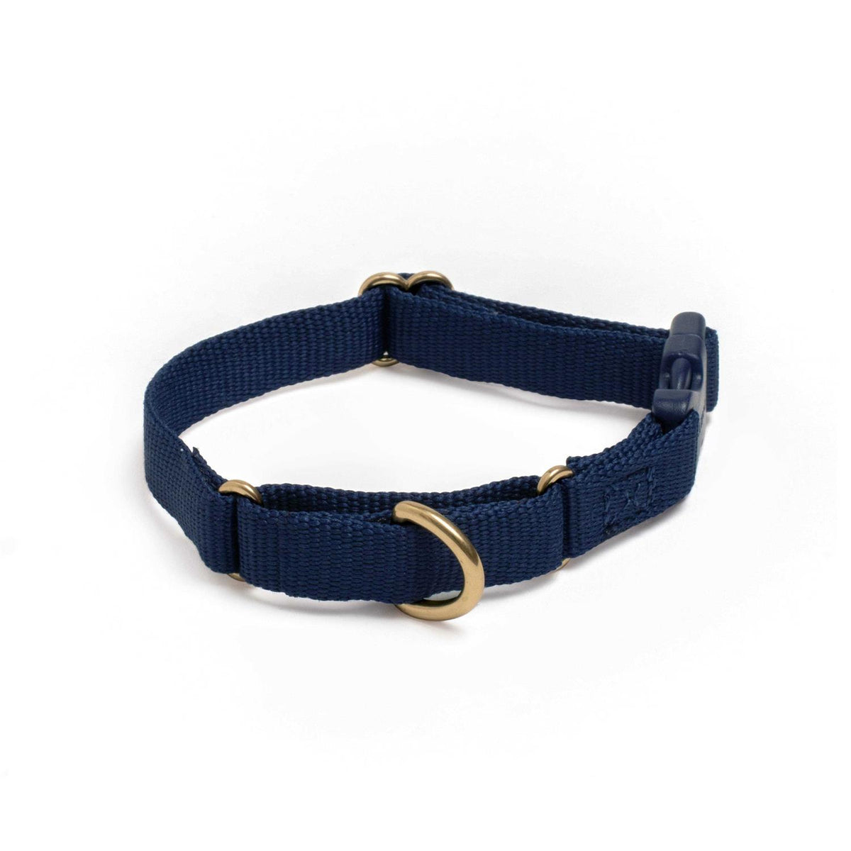 Martingale Dog Collar V59934