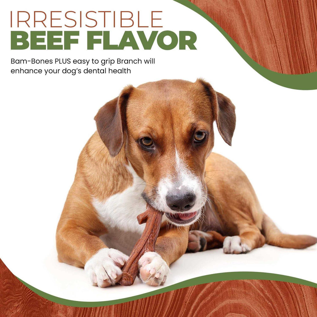 Branch Beef Dog Toy Y247