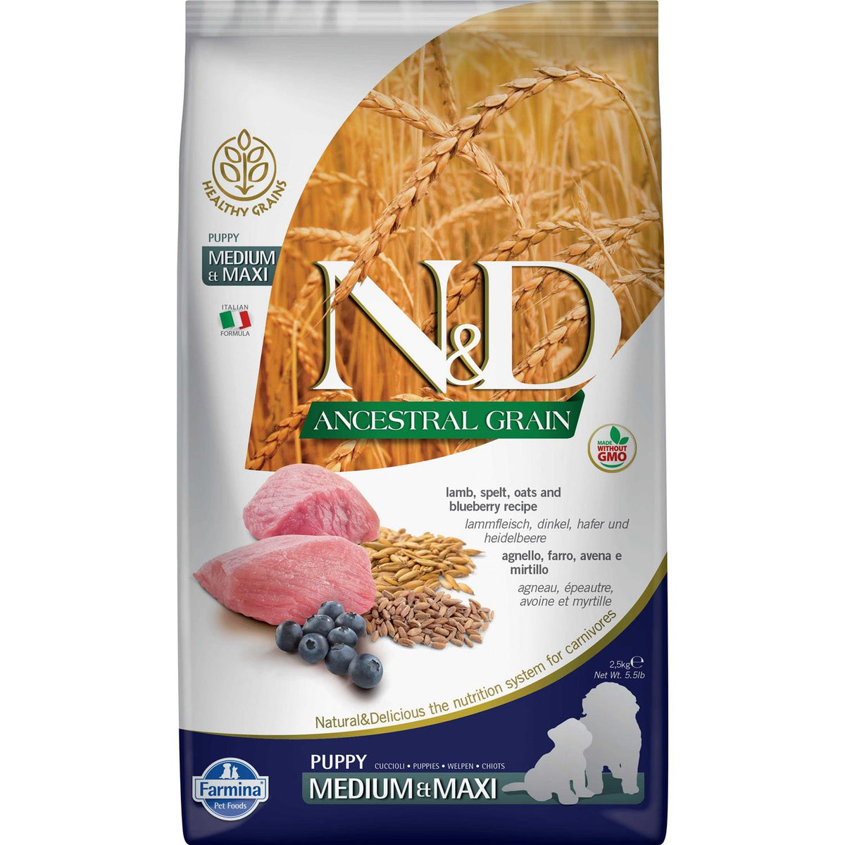 Lamb & Blueberry Puppy Dry Dog Food L3872