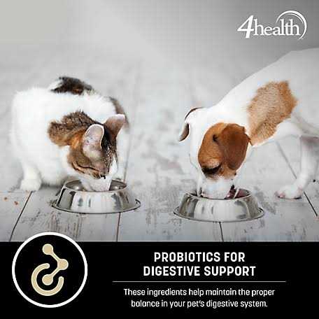 Sensitive Skin Formula Dry Dog Food R393754