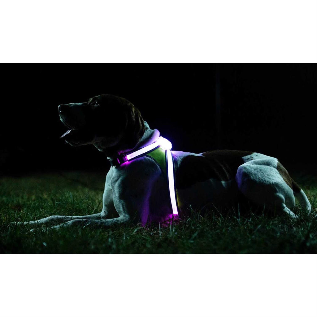 LED Reflective Dog Harness Y447