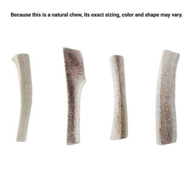 Elk Antler Split Dog Chew S892794