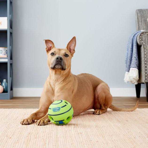Dog Toy Z4048