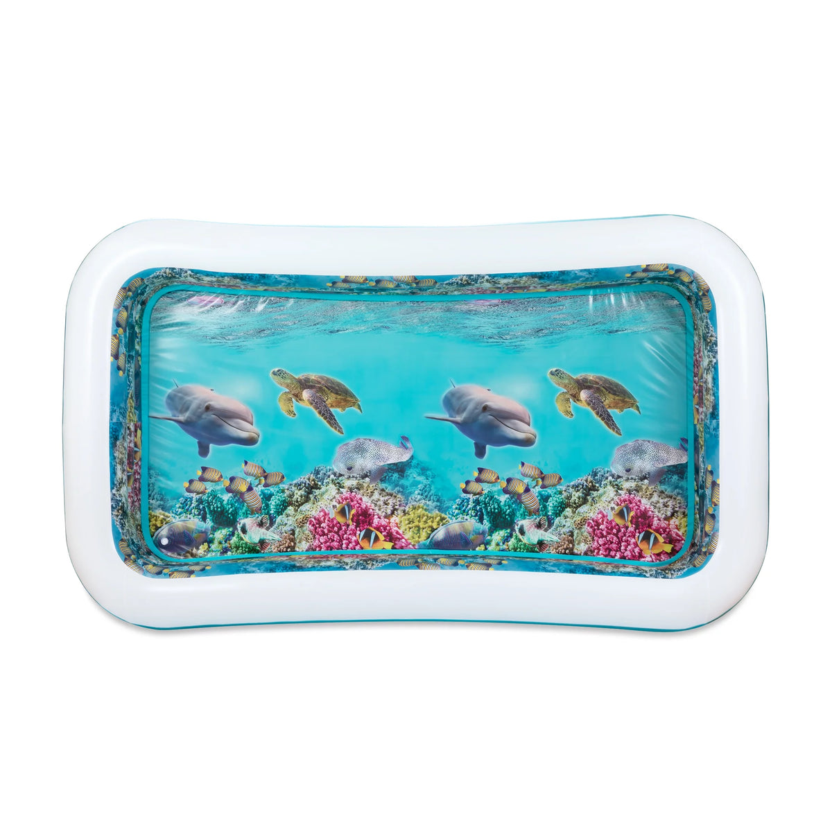 Inflatable Dolphin 3D Family Pool O9452