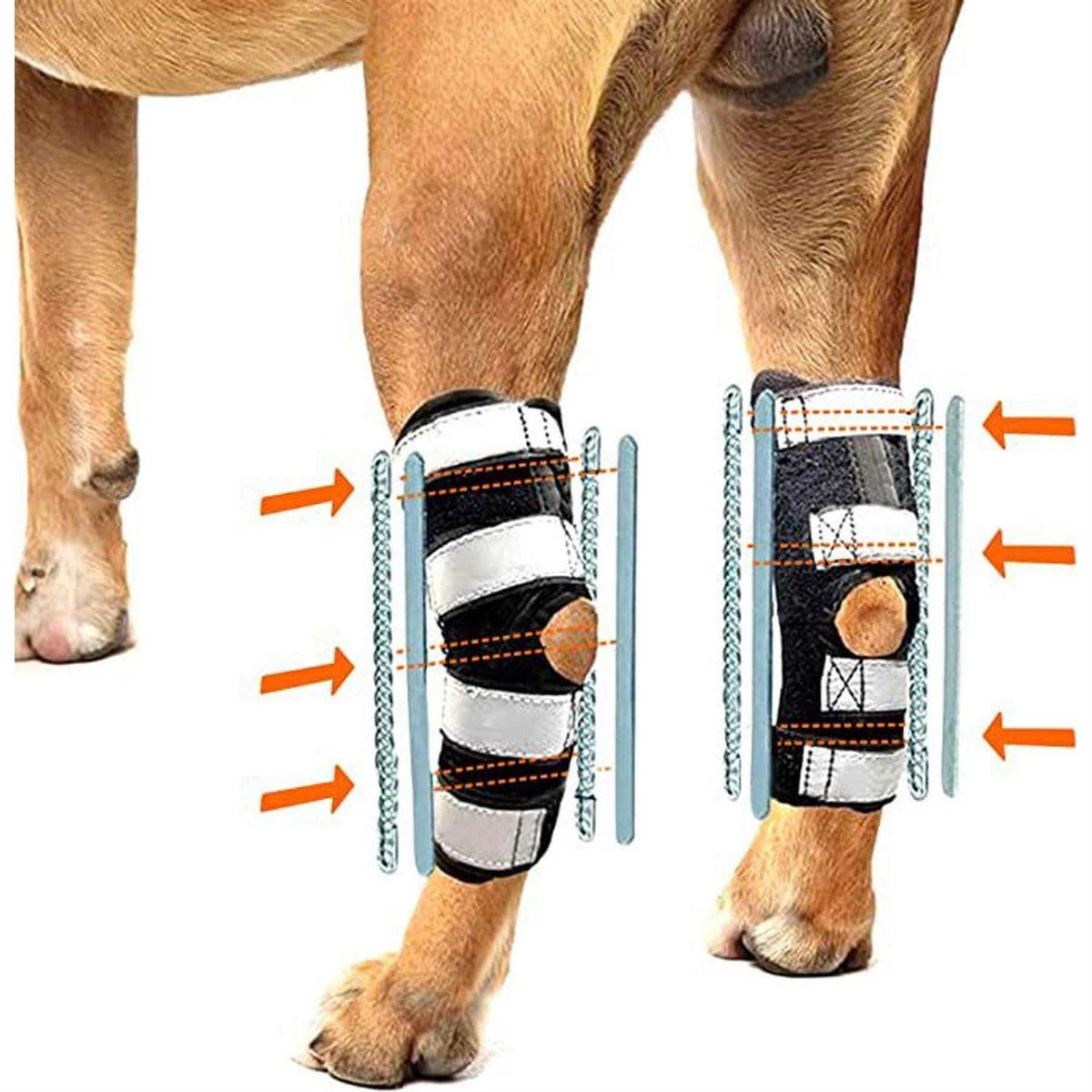 3-in-1 Dog Splint Braces D35117