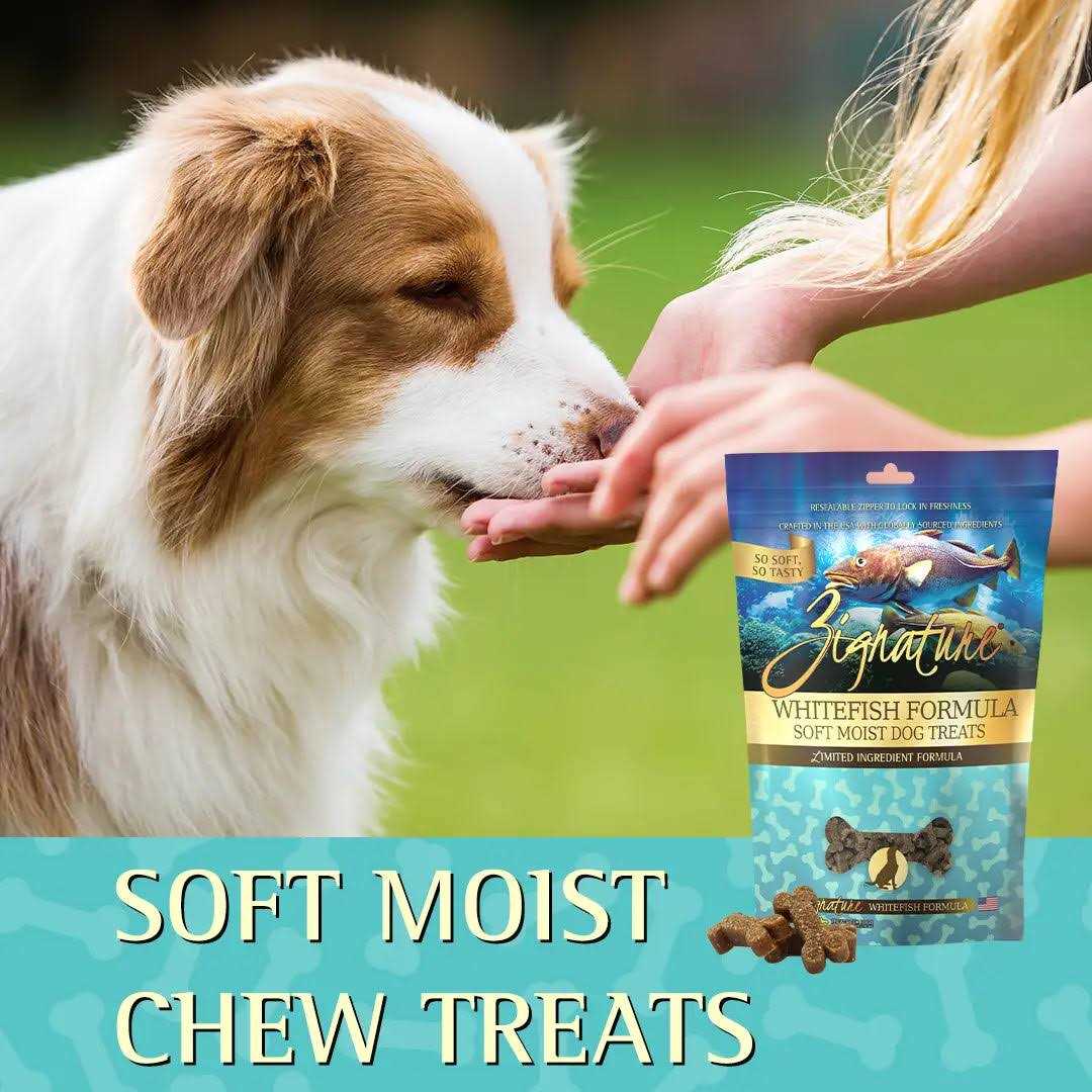 Soft Moist Dog Treats F594583