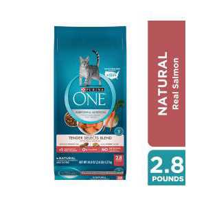 Dry Cat Food With Real Chicken V185