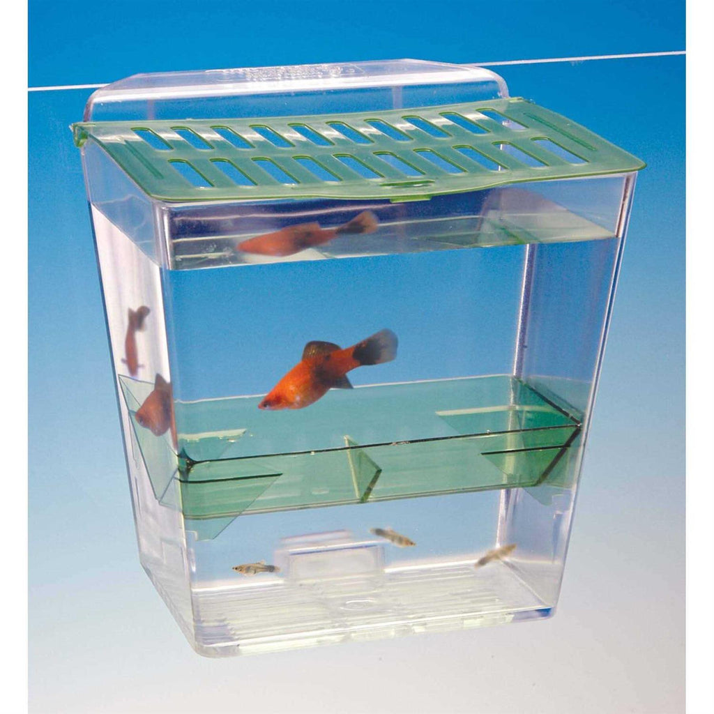 Home Goods T13766