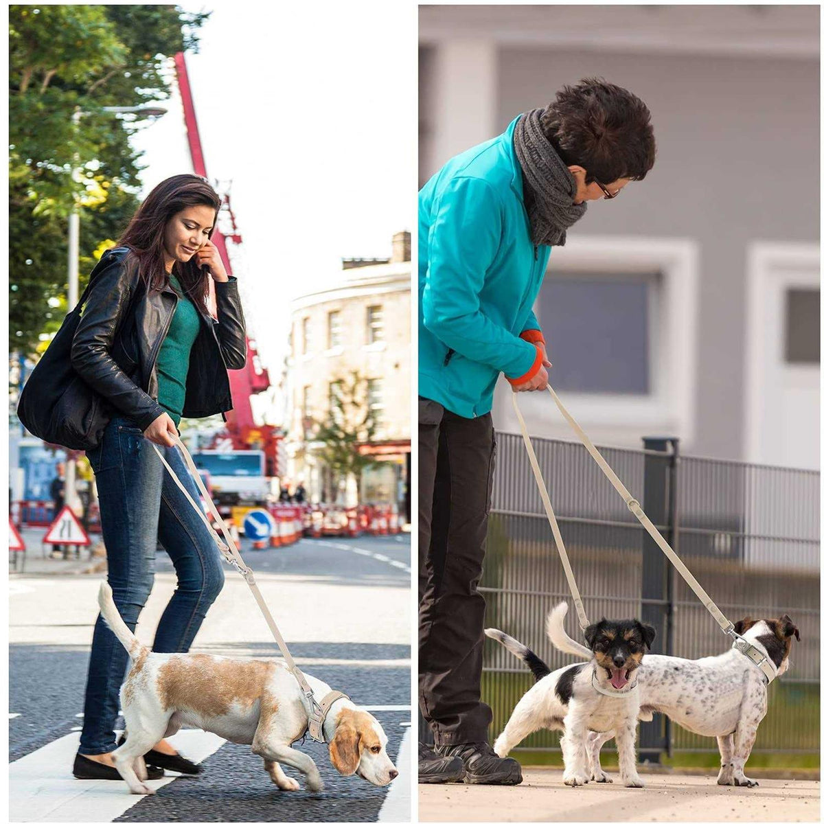 Waterproof Dog Leash with 2 Hooks W898