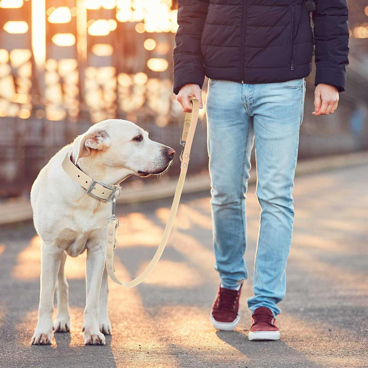 Waterproof Dog Leash with 2 Hooks W898