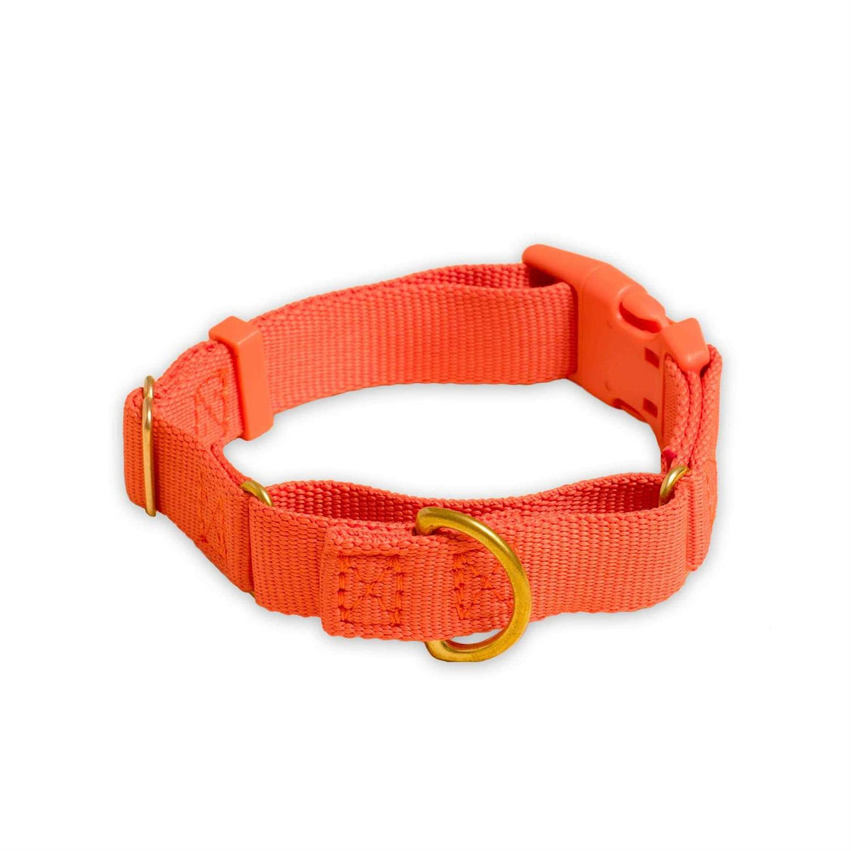 Martingale Dog Collar V59934