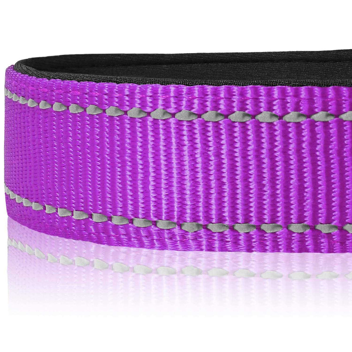 Reflective Neoprene Padded Nylon Dog Collar E663