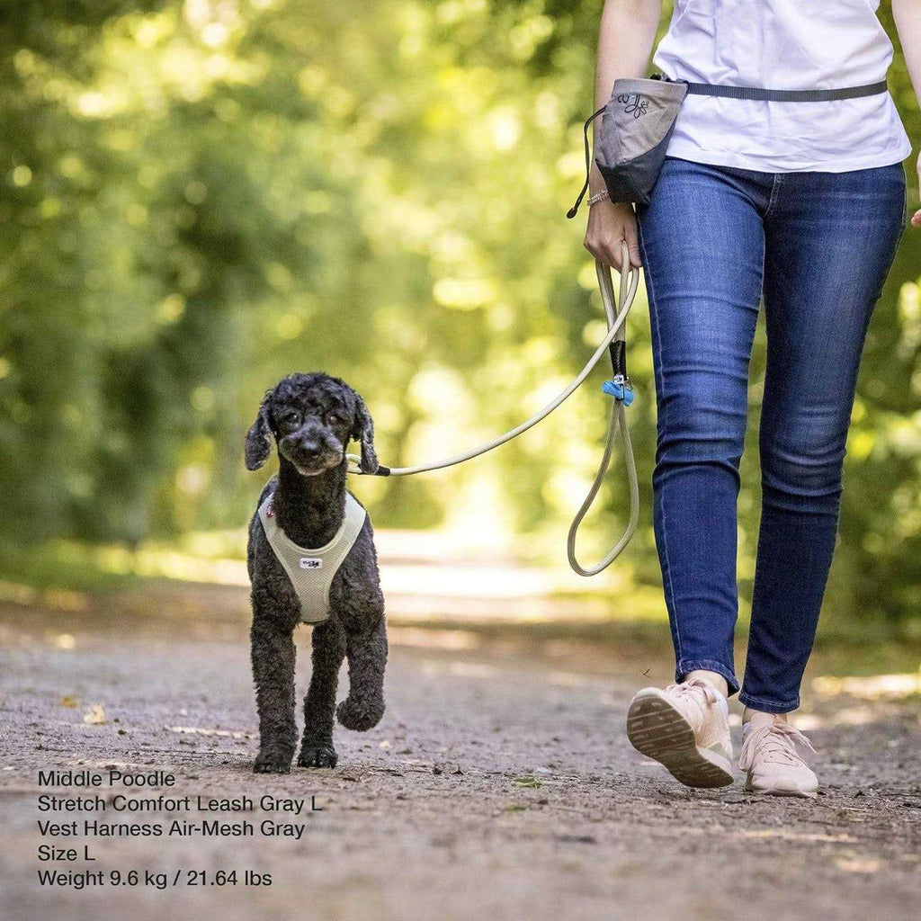 Comfort Leash P293178
