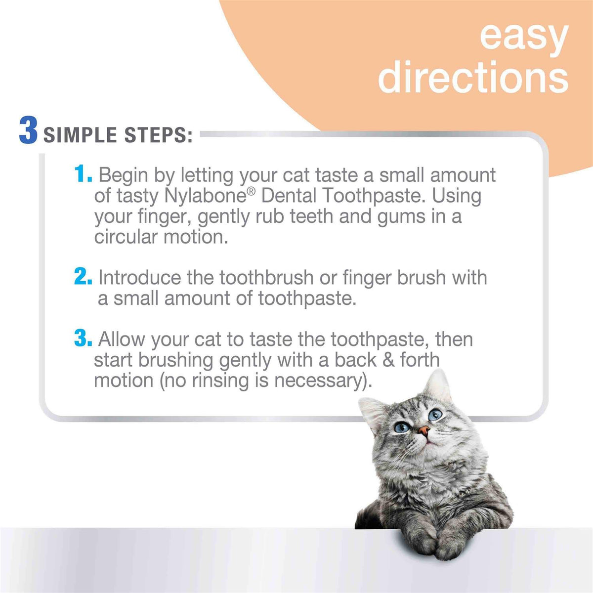 Advanced Cat Oral Care Dental Kit Z24990