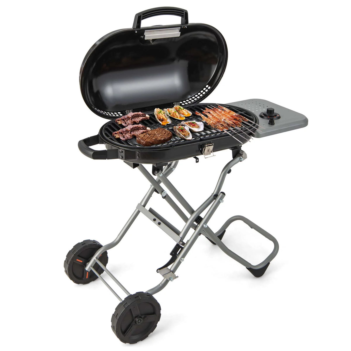 Portable Propane Gas Grill with Wheels & Side Shelf Z28209