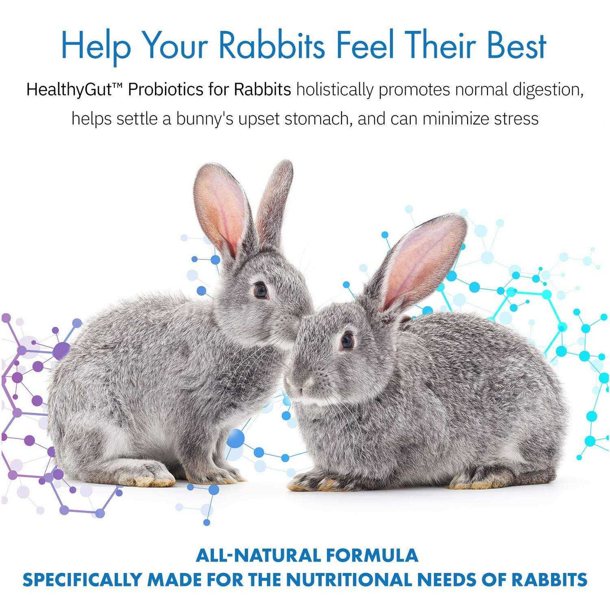 Probiotics Rabbit Supplement X625938