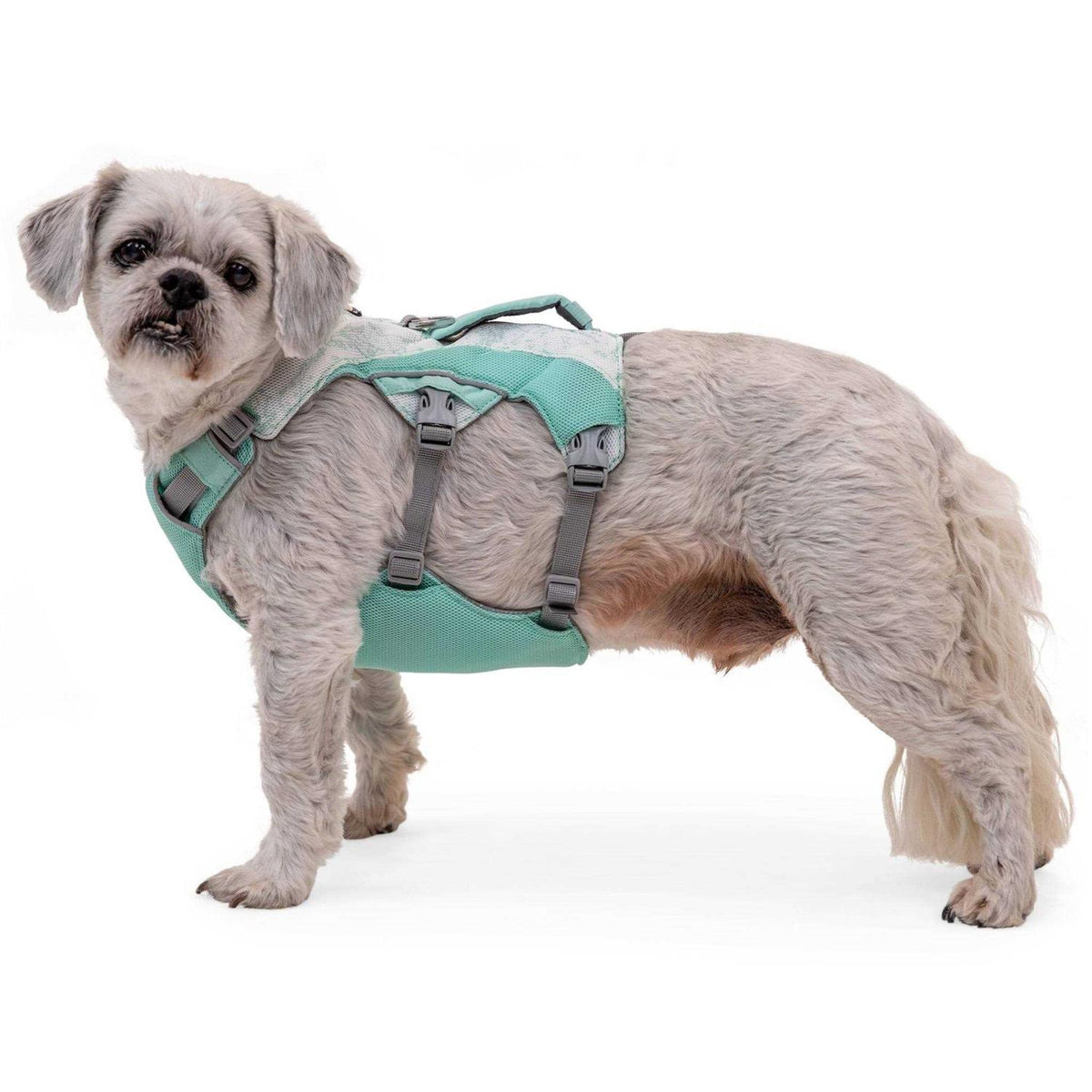 Dog Harness H756