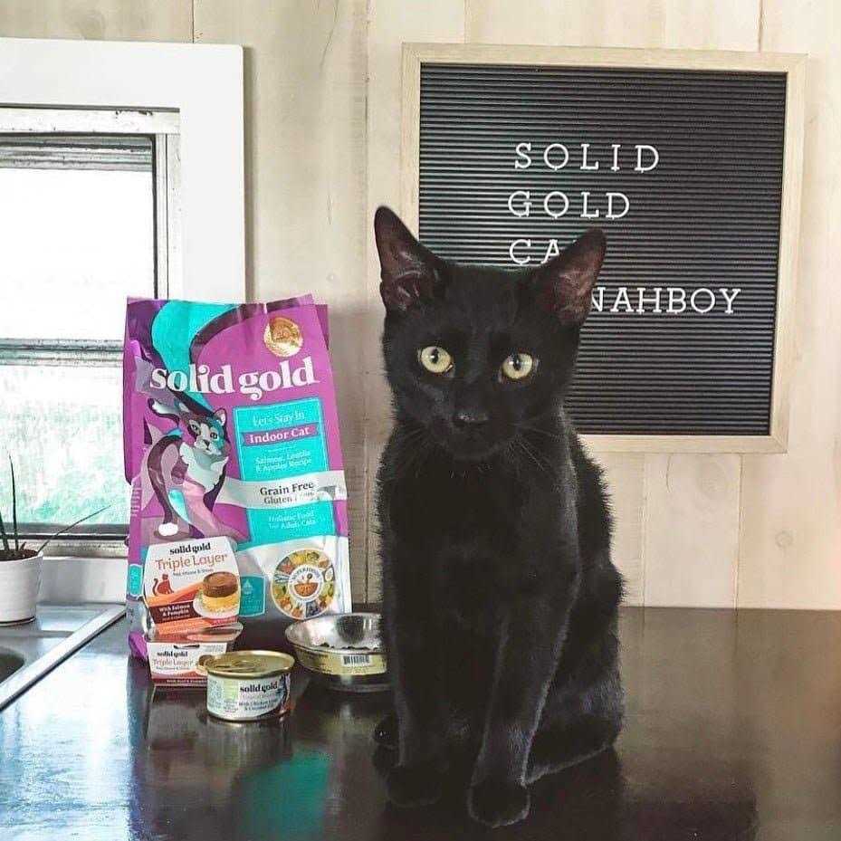 Solid Gold Indoor Lentil & Apple Recipe Grain-Free Dry Cat Food A687404