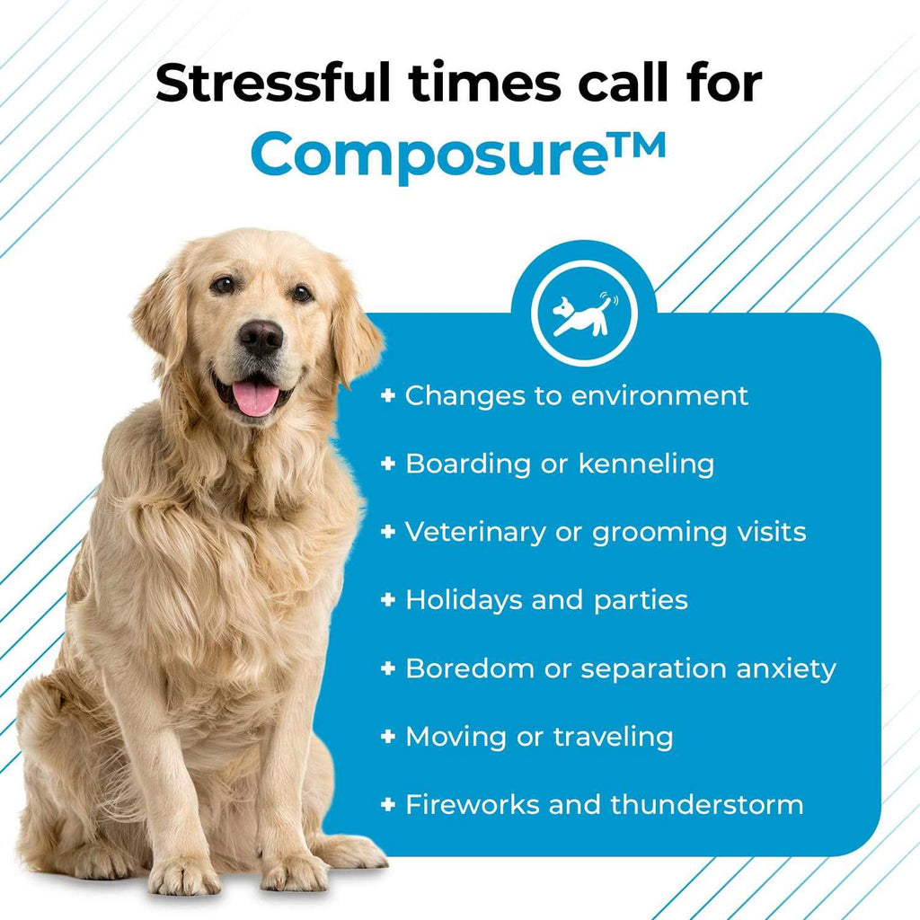 Calming Supplement for Dogs D89843